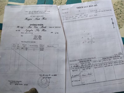 Dầu Bóng Phủ Gỗ Ngoài Trời A900 10151