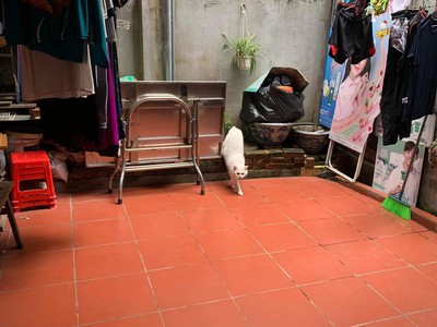 Bán nhà 2 Tầng Phố Lê Hồng Phong TPHD 1