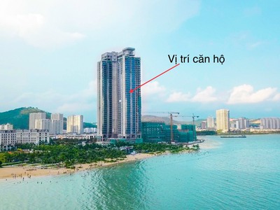 Dầu Bóng Phủ Gỗ Ngoài Trời A900 10586