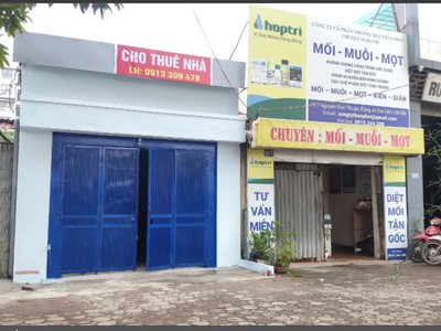 Cần cho thuê  nhà phố lô góc kinh doanh, giá tốt, 100m2, nguyễn đức thuận, gia lâm 1