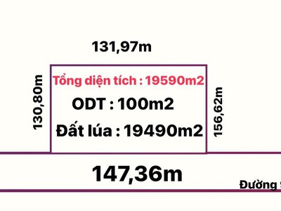 Dầu Bóng Phủ Gỗ Ngoài Trời A900 11583