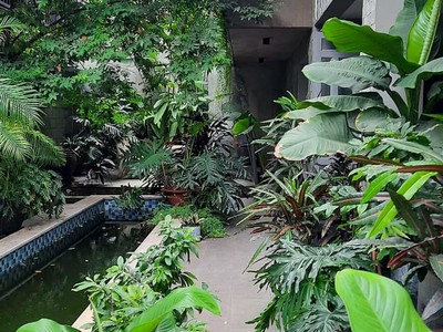 Biệt thự châu âu 6 tầng ở việt nam có thang máy trong nhà 180m2 huỳnh tấn phát, quận 7. bán 25 tỷ 3