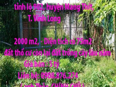 Chính chủ cần bán đất mặt tiền tỉnh lộ 902, huyện mang thít, tp. vĩnh long 0
