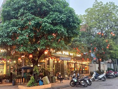 Bán biệt thự duy nhất nguyễn trãi, thanh xuân. dt 210m2 x 4 tầng. giá 25 tỷ 1