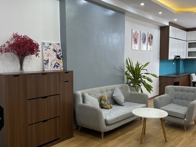 Chính chủ gửi bán căn chung cư 2 ngủ, full nội thất chỉ với 900tr tại KDT Thanh Hà Cienco 5 2