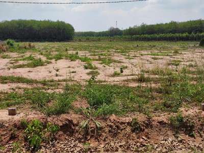 Lô đất cách dt 748 chỉ 100 mét, giá ngộp bán gấp 1