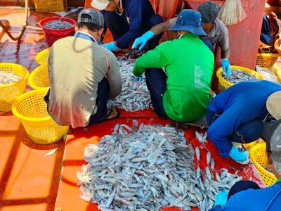 Tuyển người phụ lựa hải sản sản 0