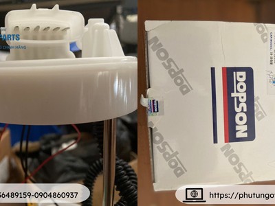 Bơm xăng Dopson Dùng cho xe: Xtrail T32 15-20 3