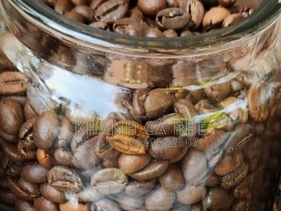 Cung cấp cà phê hạt pha máy tại Buôn Ma Thuột, rang mộc nguyên chất 100 1