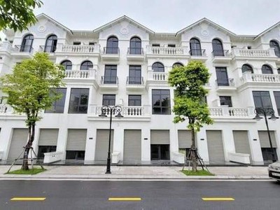 Biệt thự LK hướng ĐN view vườn hoa Vinhomes Ocean Park - Vừa ở vừa KD - Sổ lâu dài 2