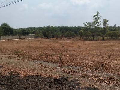 Lô Đất Diện Tích Lớn Vị Trí Đẹp Nằm Ngay Trung Tâm Thị Xã Bình Long 1