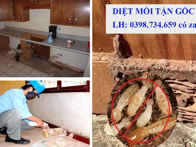 Công Ty Diệt Mối Tại TP Thủ Đức Hồ Chí Minh 0