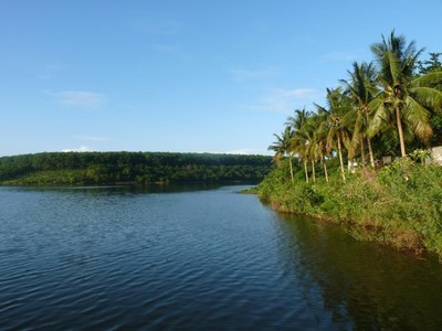 Chính chủ cần bán lô đất view triệu đô 1