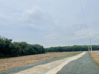 Cần tiền xây nhà  gia đình bán lại 6.2 sào  6.200m   đất thị xã công nghiệp lớn nhất Đông Nam Bộ 3