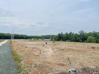 Cần tiền xây nhà  gia đình bán lại 6.2 sào  6.200m   đất thị xã công nghiệp lớn nhất Đông Nam Bộ 5
