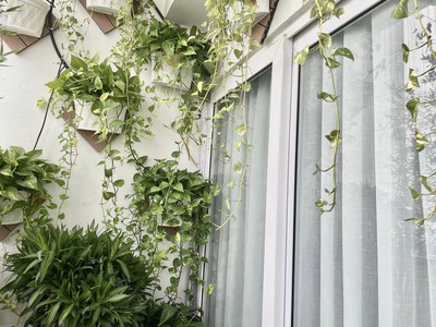 Bán căn hộ cc  học viện quốc phòng - đường nguyễn văn huyên - lô góc 137m2 3n3wc - giá 5.99 tỷ 0