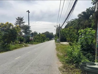 Bán lô đất cách chợ Phú Hoà Đông 1km coa thổ cư mt đường 12m Củ Chi 1