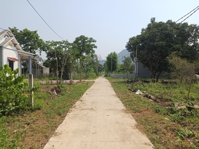 120tr có ngay lô đất 150m full thổ cư, thạch thành, thanh hóa 3