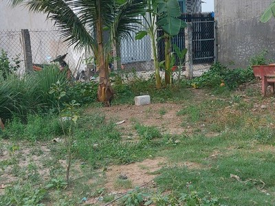 Chính chủ bán nhà ở dãy trọ rộng đẹp tại đức hòa - giá rẻ cho khách thiện chí 3