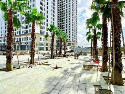 Siêu rẻ - căn FPT Plaza 2 giá 1.5 tỷ bán trong tháng 5 vì cần tiền gấp 4