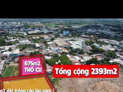 Chính chủ gửi bán mặt tiền đường lê văn khương ấp 5 xã đông thạnh, hóc môn, tp hcm 3