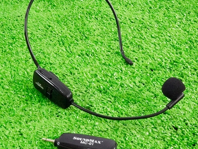 Micro SoundMax MC-01 0