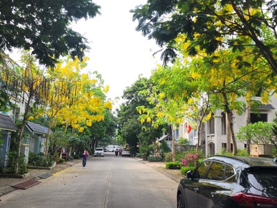 Bán lền kề khu a gleximco hàng xóm vinhome smart city 8 1