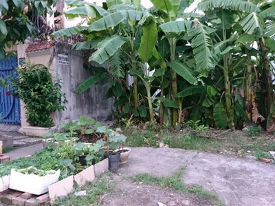 Cho thuê đất 144m2 mặt tiền đường công lý bình thọ 0