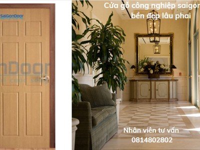 Cửa gỗ công nghiệp HDF Veneer da dạng mẫu mã 0