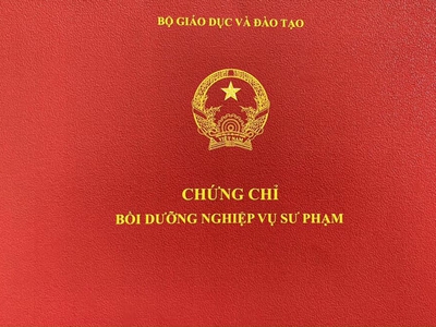 Cấp chứng chỉ Nghiệp vụ Sư phạm giảng viên cao đẳng - đại học tại Đà Nẵng 0