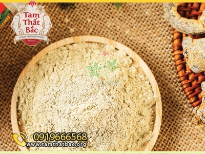 Tam thất: dược liệu quý bảo vệ sức khỏe 0