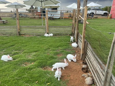 Cần bán lô 4 sào xã Hòa Thắng, đối diện Bàu Trắng, kế bên Mian Farm 1