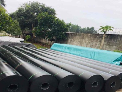 Màng chống thấm HDPE - Huitex - Đài Loan 0