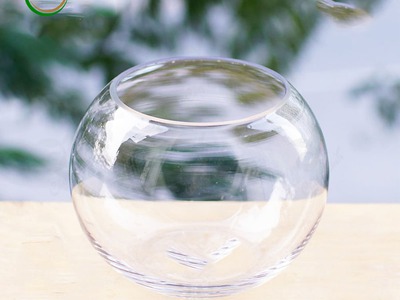 Bán cây cảnh, tiểu cảnh trang trí decor 2