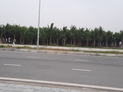Bán 4ha đất công nghiệp tại ninh giang, hải dương. đất trả tiền 1 lần 0