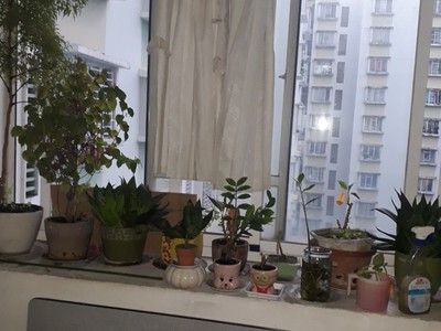Mình chính chủ cần bán căn hộ view đẹp ở tầng 8 chung cư Phú Lợi 1 thuộc Quận 8. Tp Hồ Chí Minh 5