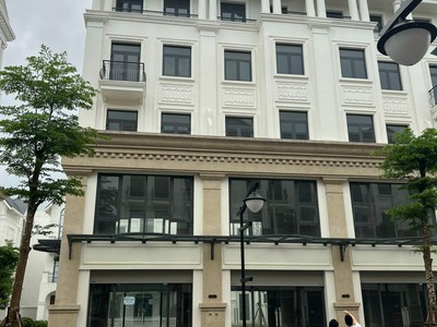 Chỉ 15 tr sở hữu ngay căn shophouse đã hoàn thiện cơ bản có điều hòa tại vinhomes ocean park gia 0