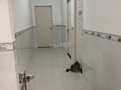 Cho thuê nhà cấp 4, 110m2, 3 phòng ngủ, 2 wc, đường cmt8, tp biên hoà 2