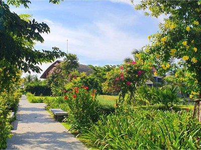 Bán casamia hội an villa, giá chỉ bằng căn hộ 6.5 tỷ, khai thác lưu trú 8 phòng 0