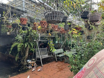Bán nhà hẻm xe tải nằm ở đường nguyễn an ninh, thành phố dĩ an, tỉnh bình dương 1