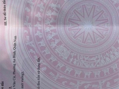 Bán nền mặt tiền đường xuân hồng , phường an bình . dt 100m2 . sổ hồng 2