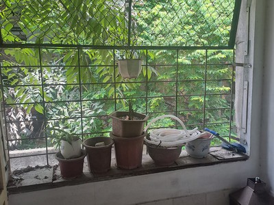 Cho thuê nhà nguyên căn lạc trung 40m2, 2t, 4m, 9tr, hai bà trưng, kd, mặt ngõ. 4