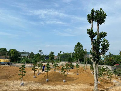 Siêu phẩm nghỉ dưỡng tại khu đô thi eco viiage đông xuân , quốc oai, hoà lạc giá hơn 10tr/m2 1