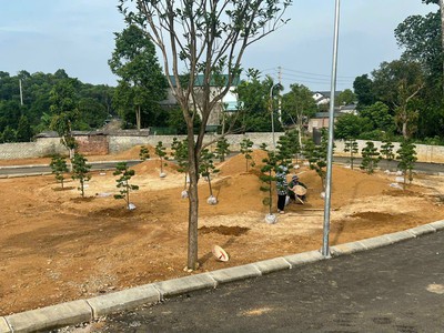 Siêu phẩm nghỉ dưỡng tại khu đô thi eco viiage đông xuân , quốc oai, hoà lạc giá hơn 10tr/m2 3