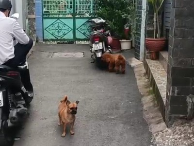 Bán Đất Giá 46tr/m 532m Gần Trường Đại Học Phường 26 Quận Bình Thạnh 1