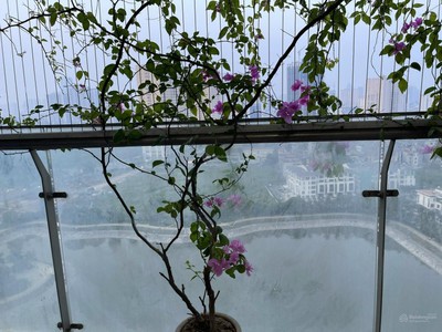 Chính chủ cho thuê căn chung cư lake view khu tsq vào ở ngay 3