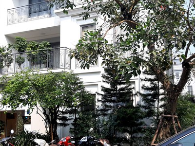 Loa loa chủ cần bán gấp nhà khu đâu giá mậu lương kiến hưng hà đông 60 mét thang máy ô tô để 0