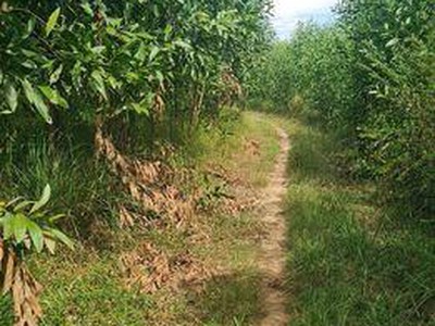 Sở hữu ngay lô đất vị trí đắc địa tại xã vĩnh thủy, huyện vĩnh linh, tỉnh quảng trị 0