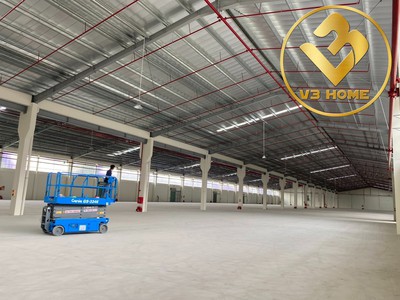 X255.cho thuê kho xưởng mới tinh mặt đường chân cầu vàng an lão 11.000m2 pccc tự động trạm biến áp 3
