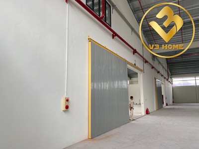 X255.cho thuê kho xưởng mới tinh mặt đường chân cầu vàng an lão 11.000m2 pccc tự động trạm biến áp 1